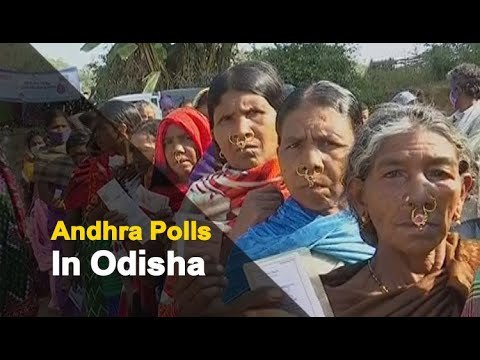 Andhra Pradesh Holds Panchayat polls in Disputed Region of Kotia In Odisha | OTV News