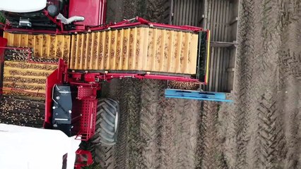 Scots love locally grown foods