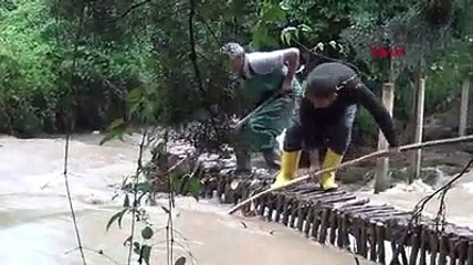 Sel sonrası tarladan kova kova balık topladılar