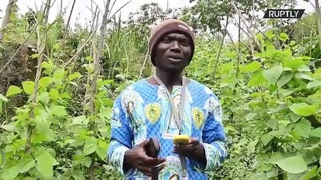 Democratic Republic of Congo: Volcanologists collect lava samples at Mount Nyiragongo eruption site