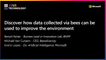 16th June -14h30-14h50 - EN_FR - Discover how data collected via bees can be used to improve the environment - VIVATECHNOLOGY