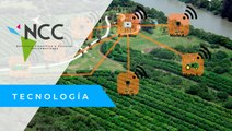 SmartAgri, la plataforma que detecta los hongos en las cosechas