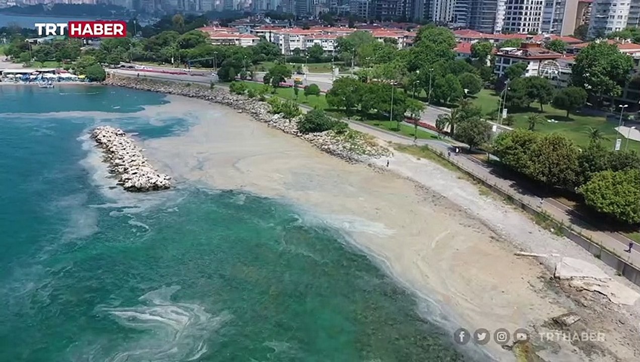 Marmara kıyılarında müsilaj görülmeye devam ediyor