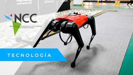 China fusiona sus dos pasiones: la tecnología y las mascotas
