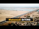 Mahanadi’s Dry Riverbed Portrays Horrifying Picture For Odisha In Future | OTV News