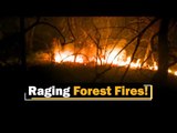 After Similipal, Forest Fires Engulf Parts Of Kuldiha Sanctuary In Odisha | OTV News