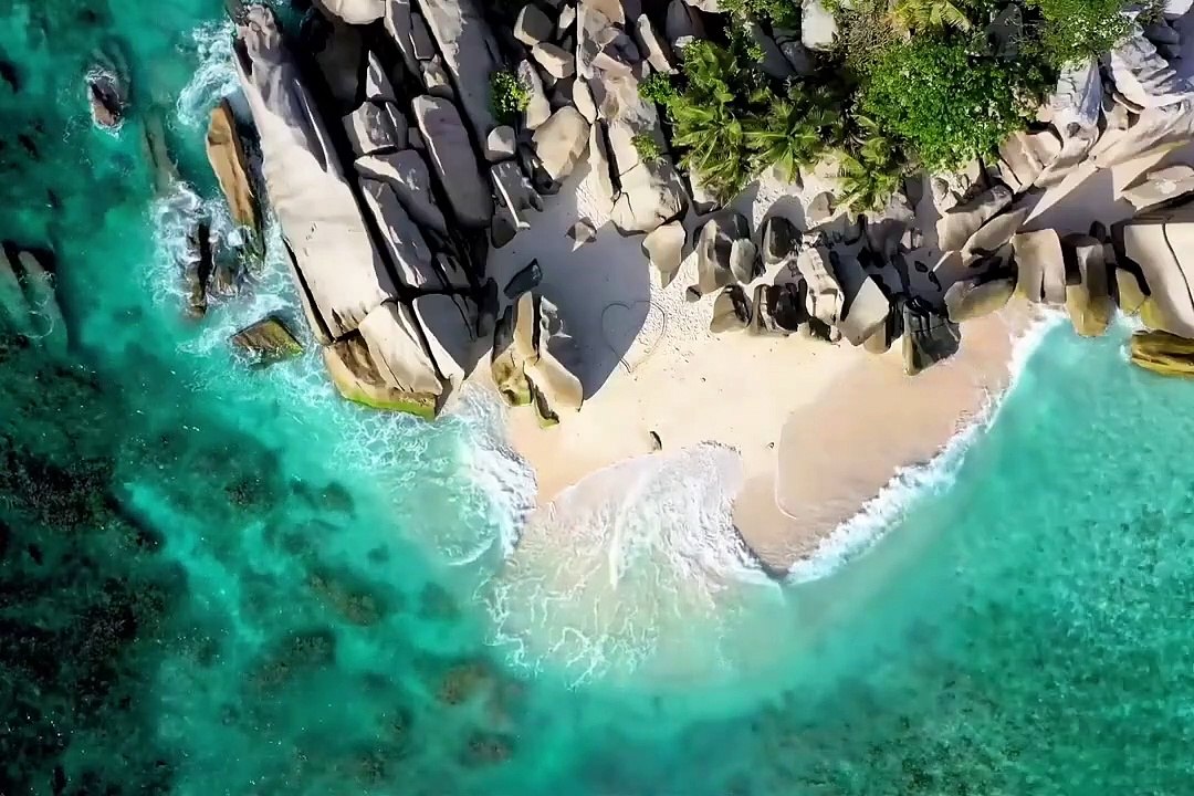 Relaxing Nature Sounds _  Birds Chirping _ Morning Music for Positive energy and Harmony Inner Peace