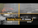 Wildfires Are Raging Across Several Forests In Odisha | OTV News