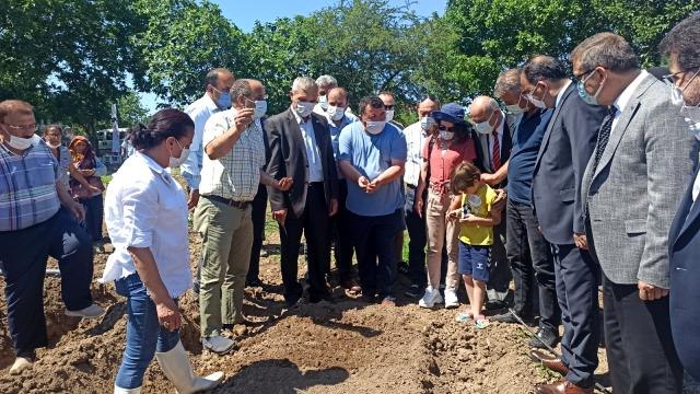 Türkiye'de tek özel izinle ekilen il olan Samsun'da üreticilere salep yumrusu dağıtıldı
