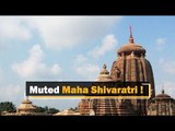 COVID-19 Surge: Odisha Restricts Congregations, Melas In Temples On Maha Shivaratri | OTV News