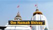 Maha Shivaratri Celebrations At Dhabaleswar Temple In Athagarh | OTV News