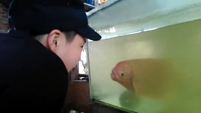 Ce poisson imite un enfant et lui fait des grimaces
