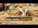 Odisha: Elephant Calf Trapped In A Well Rescued Safely (Watch) | OTV News