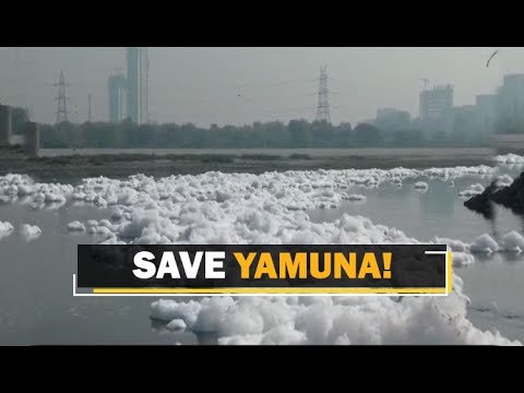 Watch: TOXIC Foam Floating On Yamuna River Surface In Delhi | OTV News