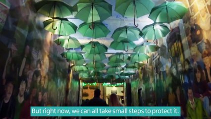 Dodds launches new visitor pledge to support tourism