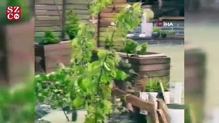 Yağmur sonrası göl ve dere taştı, restoran sular altında kaldı