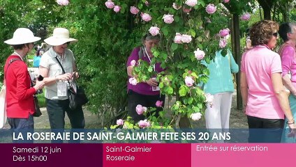 Toutes vos sorties dans la Loire !