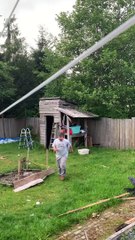 A Soar of Bald Eagles Swarm Backyard