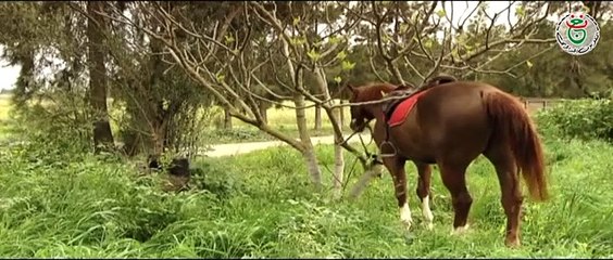 مسلسل فصول الحياة الحلقة 5 الخامسة  _ Fossol El Hayat