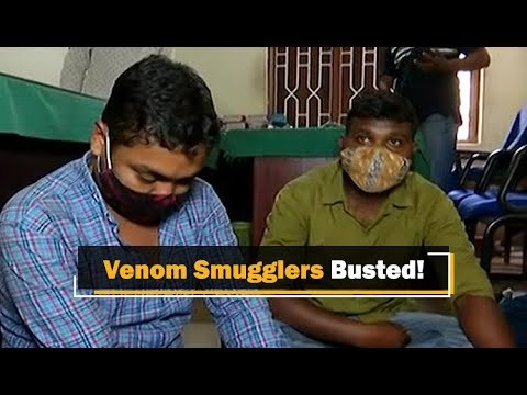 Snake Venom Smuggling Racket Busted In Bhubaneswar | OTV News