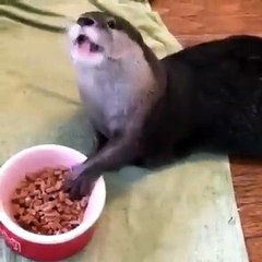 'Sahurun bitmesine 5 dakika var' dediklerinde biz