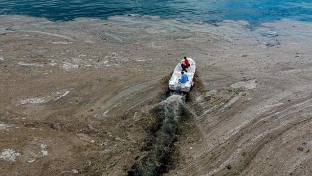 Marmara'yi esir alan deniz salyası için TBMM Araştırma Komisyonu kuruldu