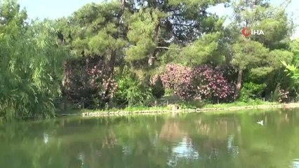 Botanik Bahçe 300 bitkiye ev sahipliği yapıyor