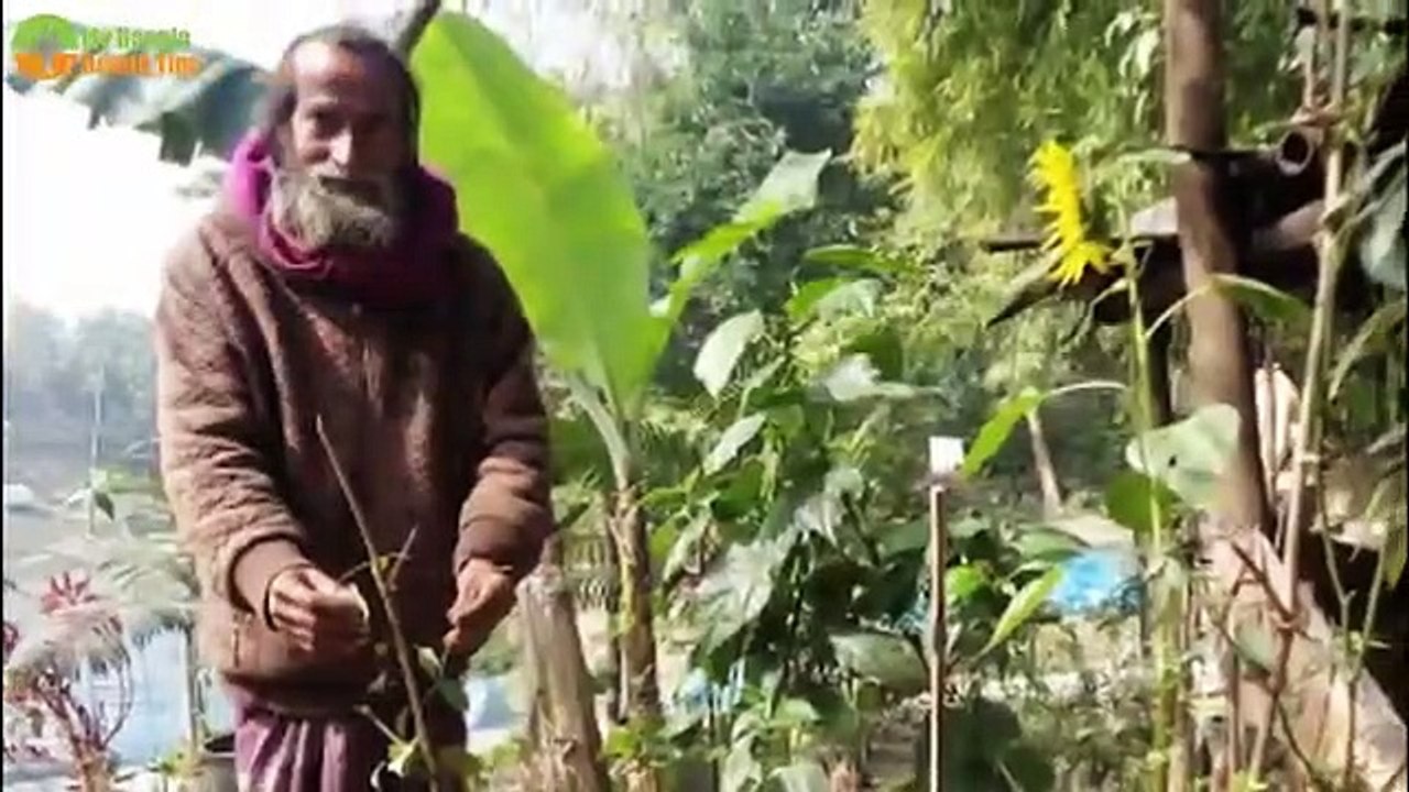 খালি পেটে নিম পাতা খাওয়ার উপকারিতা,এক কোটি টাকা দিয়েও মিলবে না।৭ টি রোগ থেকে পাবেন ছুটিAmazing Azad@24thBCS WorldPro