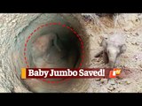 WATCH | Baby Elephant Rescued From Abandoned Well In Odisha | OTV News