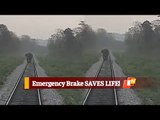 WATCH: Tusker On Railway Tracks SAVED, Thanks To Emergency Brakes Of Train | OTV News