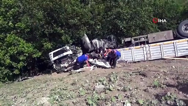 Büyükbaş kurbanlık hayvan taşıyan tır devrildi: 1 kişi hayatını kaybetti