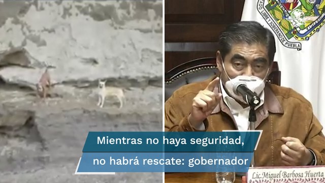 Socavón Puebla. Autoridades analizan rescate seguro de perros atrapados