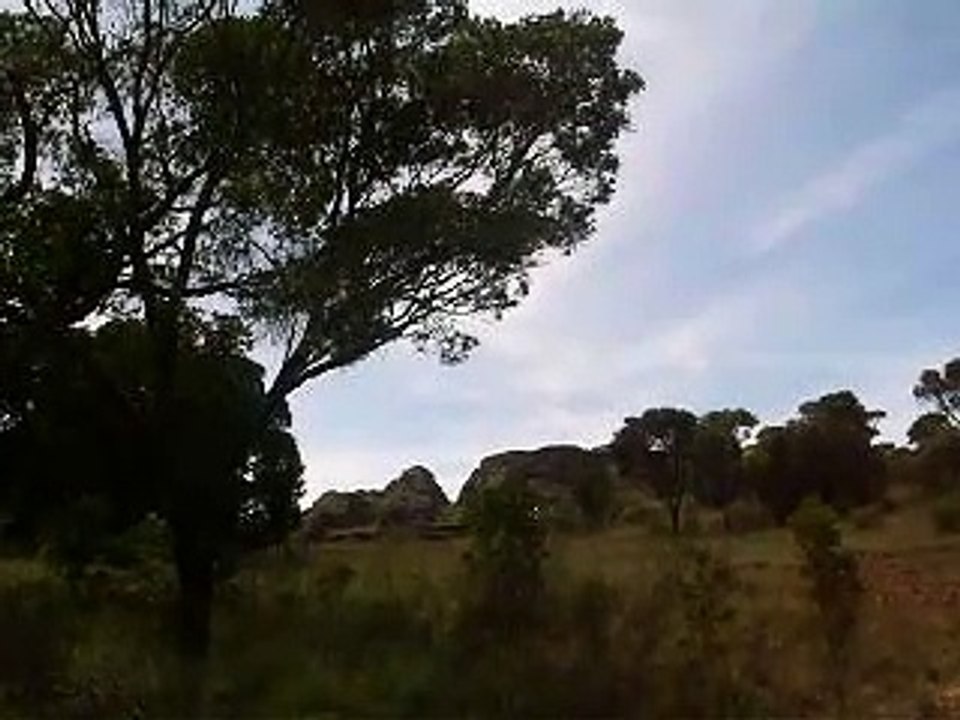 PICT8702 Madagascar 27 janvier 2007, Ranohira, Parc National de l'Isalo, Cigales CLIP MP4