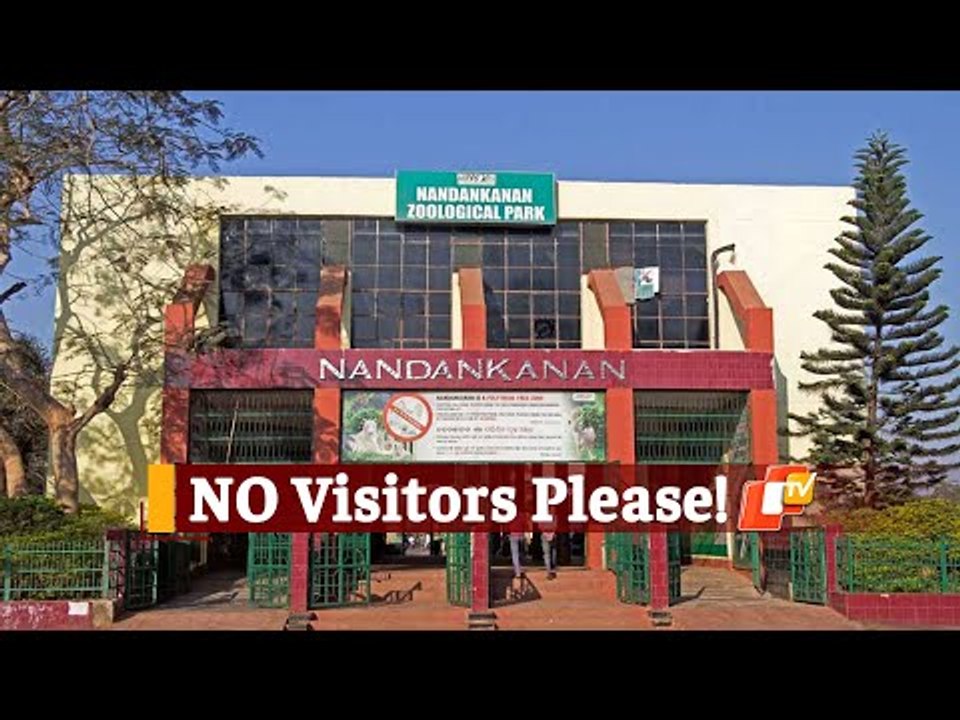 Nandankanan Zoological Park Closes Its Doors For Visitors | OTV News