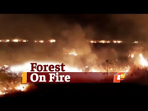 Huge Fire Near Mahanadi River Bank In Odisha’s Nayagarh | OTV News
