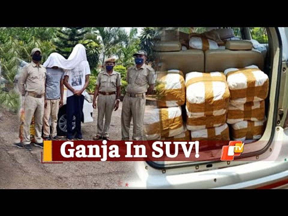 Five KG Ganja Seized From Car In Odisha, 2 Arrested | OTV News