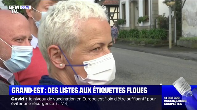 Régionales dans le Grand-Est: des listes aux étiquettes floues