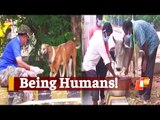 WATCH: Stray Animals Being Fed By Voluntary Organizations In Bhubaneswar During COVID19 Lockdown