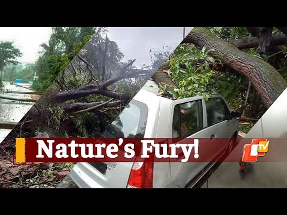 #CycloneTauktae Impact: Heavy Winds Batter Gujarat Coast | OTV News
