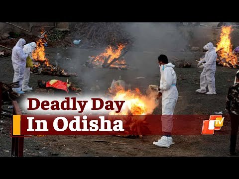 Coronavirus Breaking: Odisha Sees Highest Single-Day Covid Fatalities, Over 11K Positive Cases