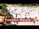 Hundreds In Odisha Gather For Fishing In Village Pond During COVID19 Lockdown | OTV News
