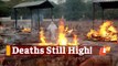 Odisha Covid-19 Update: Marginal Increase In Daily Cases, Fatalities Still High | OTV News