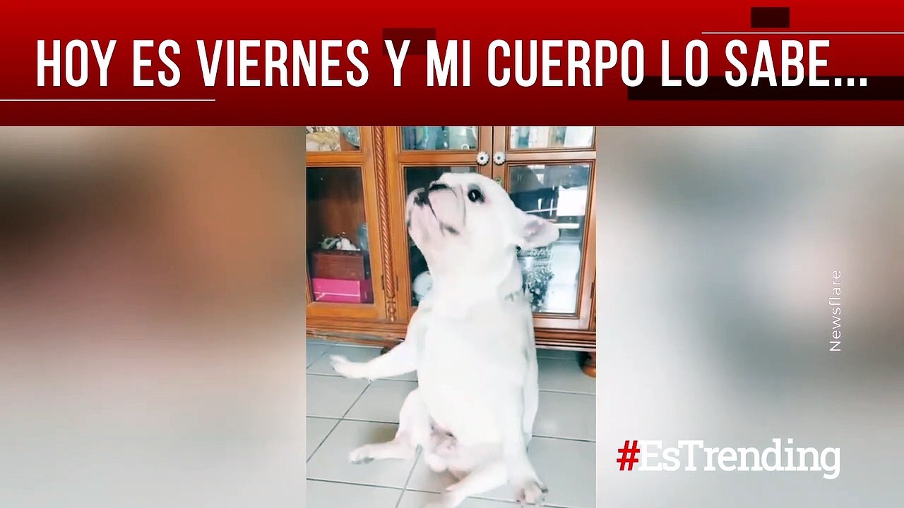 Hoy es viernes y mi cuerpo lo sabe...