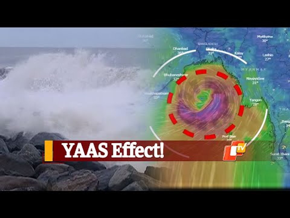 #CycloneYaas Impact: Rainfall, Winds Pick Up In Several Coastal Odisha Districts | OTV News