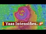 #CycloneYaas To Intensify Into Very Severe Cyclonic Storm By Evening Of May 25 | OTV News