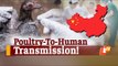 China Reports World’s First Poultry-To-Human Transmission Case of H10N3 Bird Flu