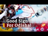 Acceptable Covid Positivity In Odisha Likely In A Week: Health Services Director | OTV News