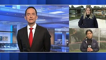 One person dead after storms leave trail of destruction