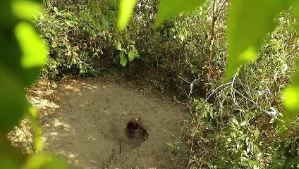 105 Days Building The Most Amazing Underground Water Slide Temple House