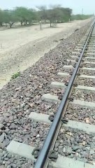 रेल के ईंजन की चपेट में आने से 5 बकरियों की मौत